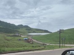 -瑞丽独树成林风景区