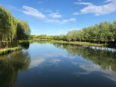 -东郊湿地公园