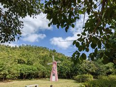 -广州白江湖森林公园