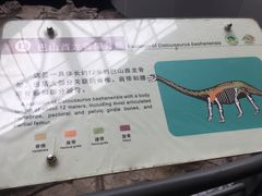 -自贡恐龙博物馆