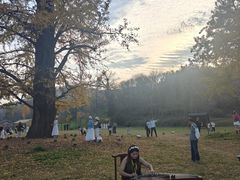 -千年银杏谷文化旅游区