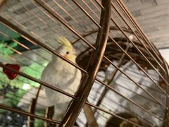 -小厨娘淮扬菜(六合欢乐港店)