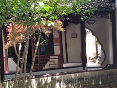 -上海醉白池公园