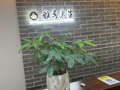 -雅享养生·中医调理·筋骨艾灸(广兰路店)