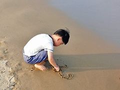 -秦皇岛阿尔卡迪亚滨海度假酒店