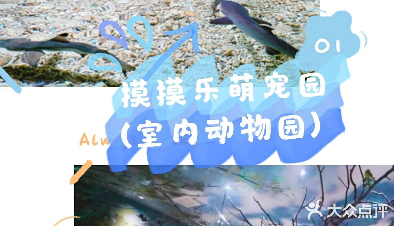 这个六一，就来摸摸乐萌宠园和小动物一起玩吧