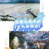 这个六一，就来摸摸乐萌宠园和小动物一起玩吧
