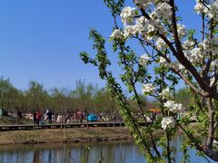 -东郊湿地公园