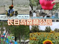 -长白岛森林公园