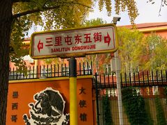 -三里屯东五街银杏大道