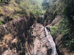 -银瓶嘴森林公园