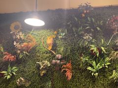 -味之绝热血美蛙鱼火锅(中坝店)