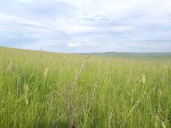 -莫日格勒旅游景区