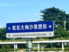 -大梅沙海滨公园