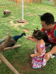 -萌宠亲子动物乐园(槐房万达店)