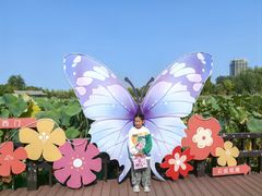 -西海子公园