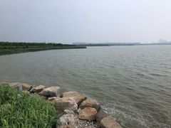 -天津东丽湖风景区