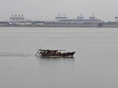 -大湾区中央湿地公园