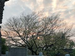 -上海佘山国家森林公园天马山园