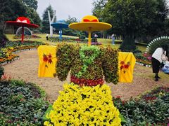 -南山植物园