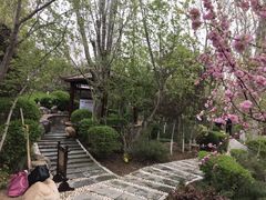 -东方华地城湿地温泉度假区