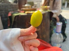 -龙源茶坊(白银路店)