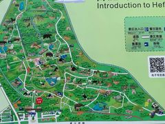 -合肥野生动物园