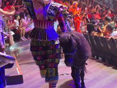 -珠海横琴长隆《卡卡虎奇遇记》