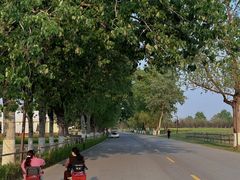 -汉长安城未央宫国家考古遗址公园