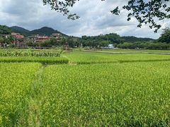 -红山村