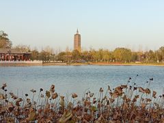 -西海子公园