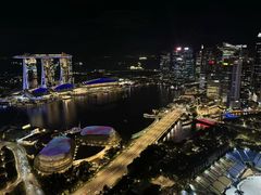 -新加坡瑞士史丹福酒店