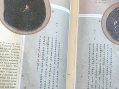 -大可堂普洱茶馆(襄阳南路馆)