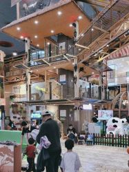 -卡通尼·Safari非洲探索乐园·生日会(金桥国际商业广场店)