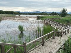 -野鸭湖国家湿地公园