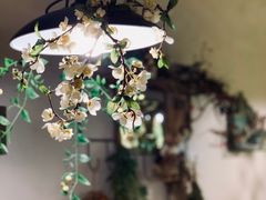-春风·有糖(崇宁路店)