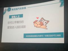 -枫花园汽车电影院(朝阳公园店)