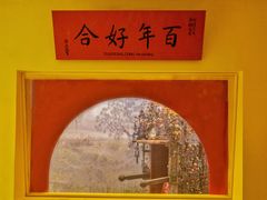 -美国自然历史博物馆