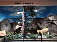 -陕西自然博物馆