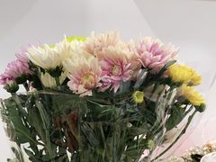 -爱尚幸福鲜花(上地实体店)