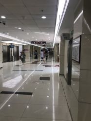 -复旦大学附属妇产科医院(杨浦院区)