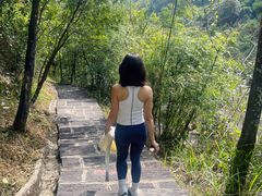 -广州白江湖森林公园