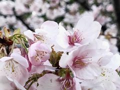 -静安雕塑公园