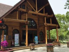 -合肥滨湖国家森林公园