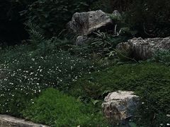 -成都市活水公园