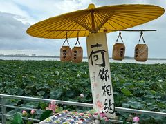 -七的湖·晚芳亭·阳澄湖农家菜·大闸蟹(莲花岛店)