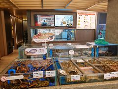 -船歌·鱼水饺青岛菜(闽江二路店)