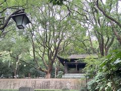 -杭州半山国家森林公园