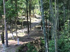 -仙霞关景区