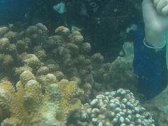 -亚龙湾海底世界
